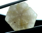 Quartz Trapiche